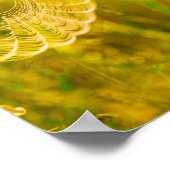 Naturlandschaft Spider Spiderweb Sonnenlicht Poster (Ecke)