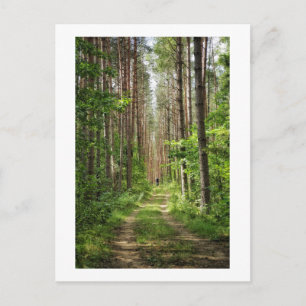 Naturlandschaft Wald Radfahren Weißrussland Postkarte
