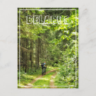 Naturlandschaft Wald Radfahren Weißrussland Postkarte