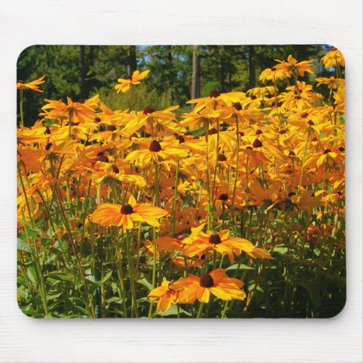Naturlandschaft, Wildblumen, goldgelbe Blumen, Mousepad (Vorne)