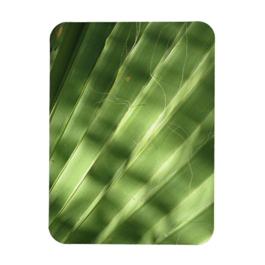 Naturlich Coole Oberflächen_Flanke Magnet (Vertikal)