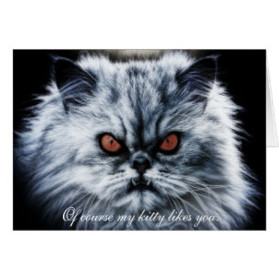 "Natürlich mag mein Kätzchen dich.."