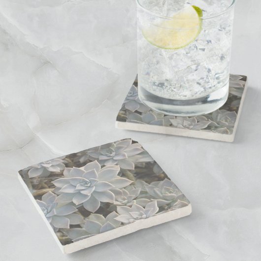 Natürlich schöne Sukkulenten botanisch Steinuntersetzer