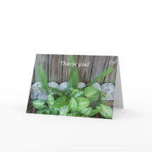 Natürliche Anordnung von Kaladium und Farnen