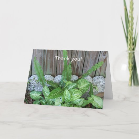 Natürliche Anordnung von Kaladium und Farnen Dankeskarte (Vorderseite)