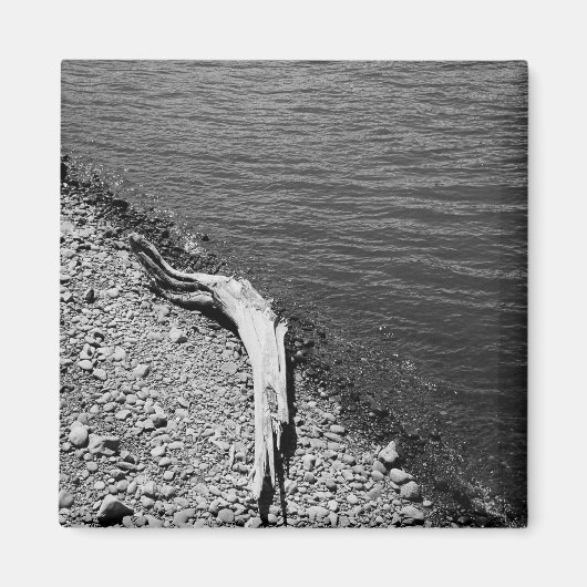 Natürliche Balance - Treibholz-Stilllebens-Magnet Magnet (Vorne)