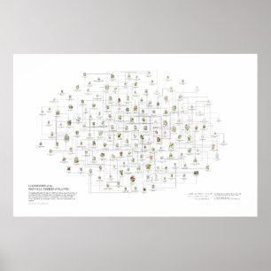 Natürliche Bestellungen von Pflanze - Neigung Poster