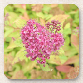 Natürliche Blume Herz - durchbohrt von Pfeil. Getränkeuntersetzer