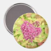 Natürliche Blume Herz - durchbohrt von Pfeil. Magnet (Vorderseite/Rückseite)