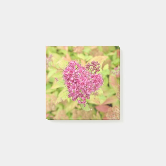 Natürliche Blume Herz - durchbohrt von Pfeil. Post-it Klebezettel (Vorderseite)