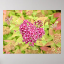 Natürliche Blume Herz - durchbohrt von Pfeil. Poster