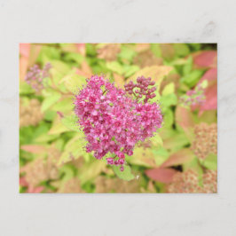 Natürliche Blume Herz - durchbohrt von Pfeil. Postkarte