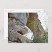 Natürliche Brücke Kentucky Postcard Postkarte (Vorne/Hinten)