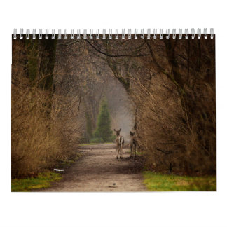 Natürliche Einflussfotografie 2016 Kalender