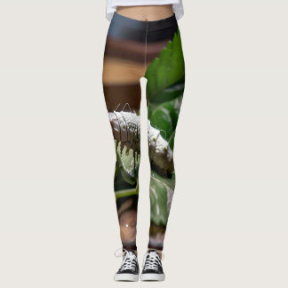 NATÜRLICHE FIBRANCHEN: DIE REISE DER SILKWORME LEGGINGS