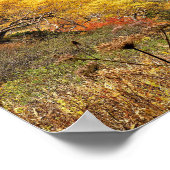 Natürliche Herbstgelbe Blätter Poster (Ecke)