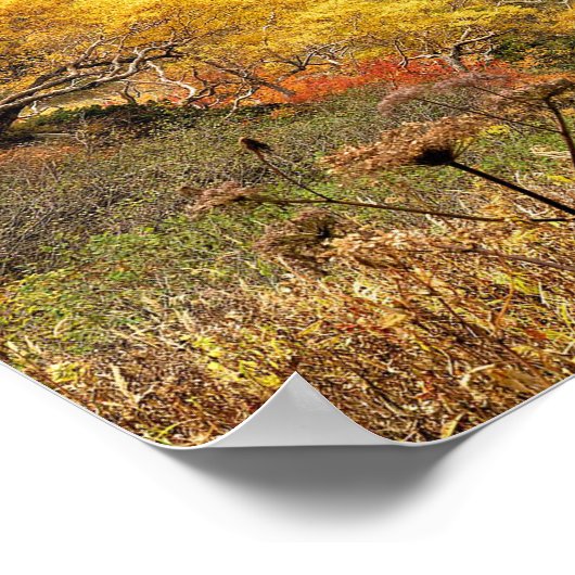 Natürliche Herbstgelbe Blätter Poster (Ecke)