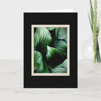 Natürliche Karte der Zartheits-104