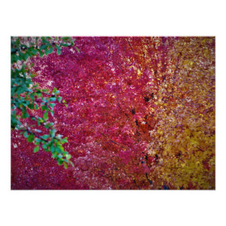 "Natürliche Lebenskraft" Fotodruck