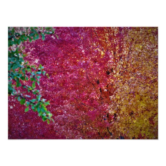 "Natürliche Lebenskraft" Fotodruck (Vorne)