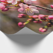 Natürliche Malerei von Sakura-Blume an einem windi Geschenkpapier (Ecke)