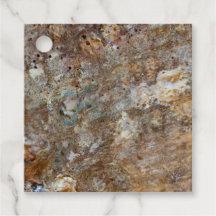 Natürliche Muschel Rough Rock Beach Sea Summery