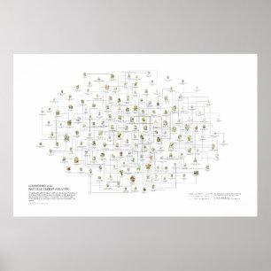 Natürliche Orders von Pflanze - Wahrscheinlichkeit Poster