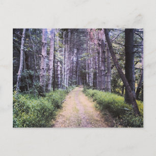 Natürliche Perfektion Postkarte