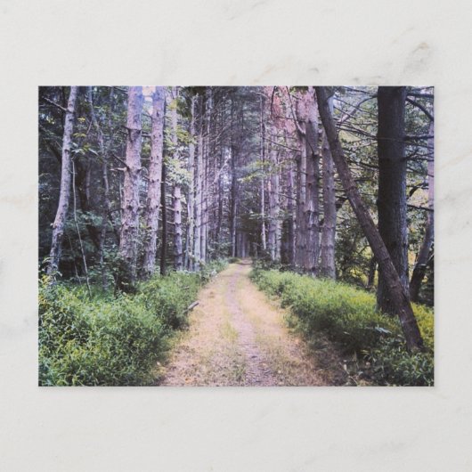 Natürliche Perfektion Postkarte (Vorderseite)