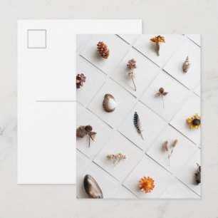 Natürliche Probensammlung Minimalist Postkarte