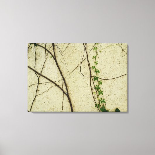 Natürliche Reben Leinwanddruck (Vorderseite)