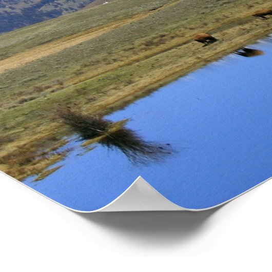 Natürliche Reflektion Poster (Ecke)