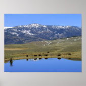 Natürliche Reflektion Poster (Vorne)