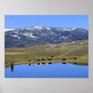 Natürliche Reflektion Poster