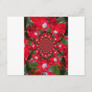 Natürliche rote Blume weiße Feder Kaleidoskop-Kuns Postkarte