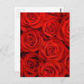 Natürliche rote Rosen Postkarte (Vorne/Hinten)