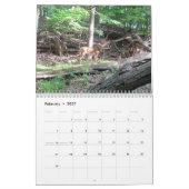 Natürliche Schönheit Kalender (Feb 2027)