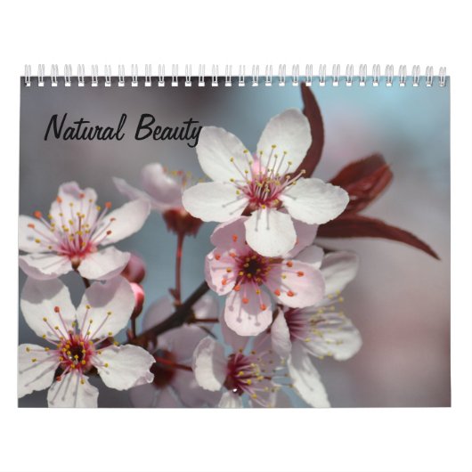 Natürliche Schönheit Kalender (Titelbild)