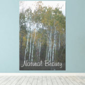 Natürliche Schönheit Weiße Birke Leinwanddruck (Insitu (Holzboden))