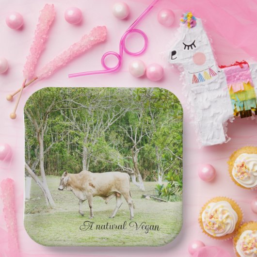 Natürliche Vegane Kuh Pappteller (Party)