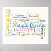 Natürlicher Desaster Poster (Vorne)