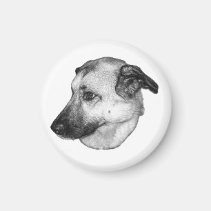 Natürlicher Fokus, Hundemagnet Magnet