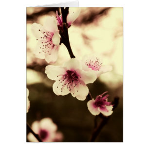 Natürlicher Frühlings-Schönheits-Karte