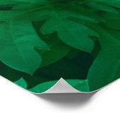 Natürlicher grüner Hintergrund aus grünen Blätter  Poster (Ecke)