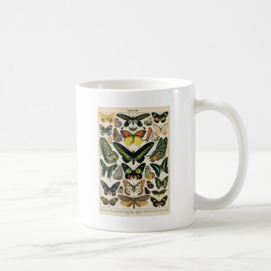 Natürlicher History Butterfly Kaffeetasse (Rechts)