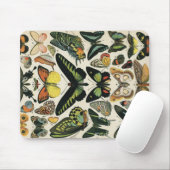 Natürlicher History Butterfly Mousepad (Mit Mouse)