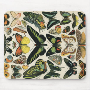 Natürlicher History Butterfly Mousepad