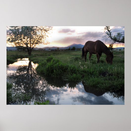 Natürlicher Sonnenuntergang Poster (Vorne)