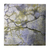 Natürlicher Stein mit Lichen Textur Fliese (Vorderseite)