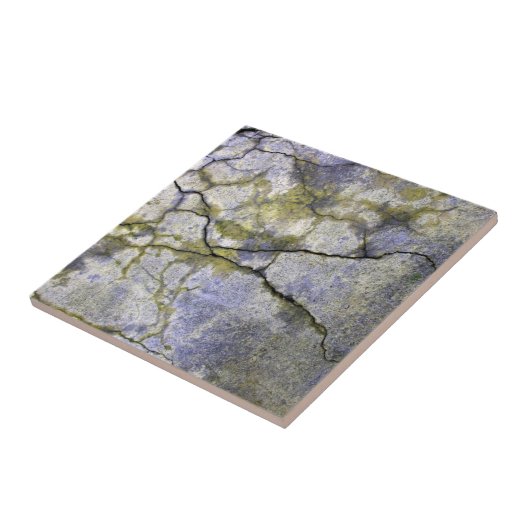 Natürlicher Stein mit Lichen Textur Fliese (Seite)